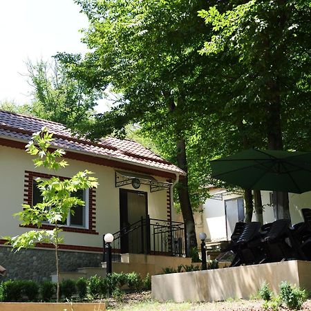 Selena Hotel Qusar Bagian luar foto